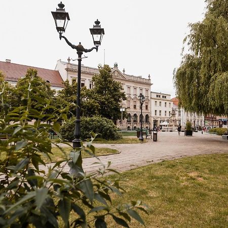 Cathedral Apartment Szczecin Ngoại thất bức ảnh
